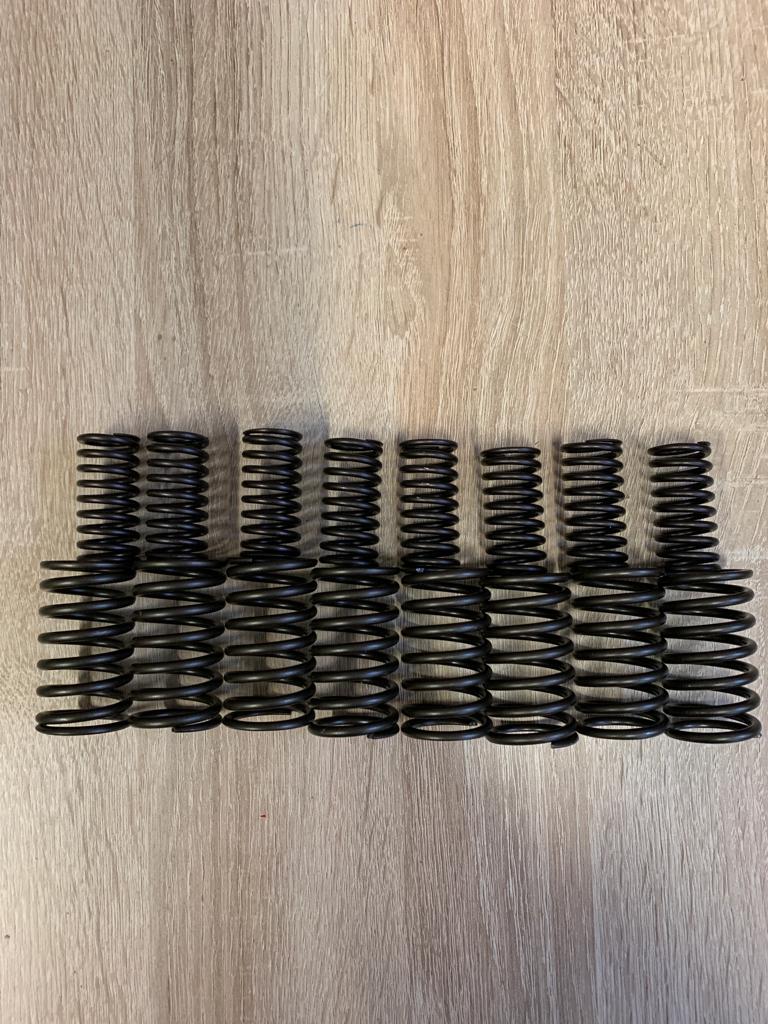 CAV2250 - VALVE SPRINGS SET 1100 ABE